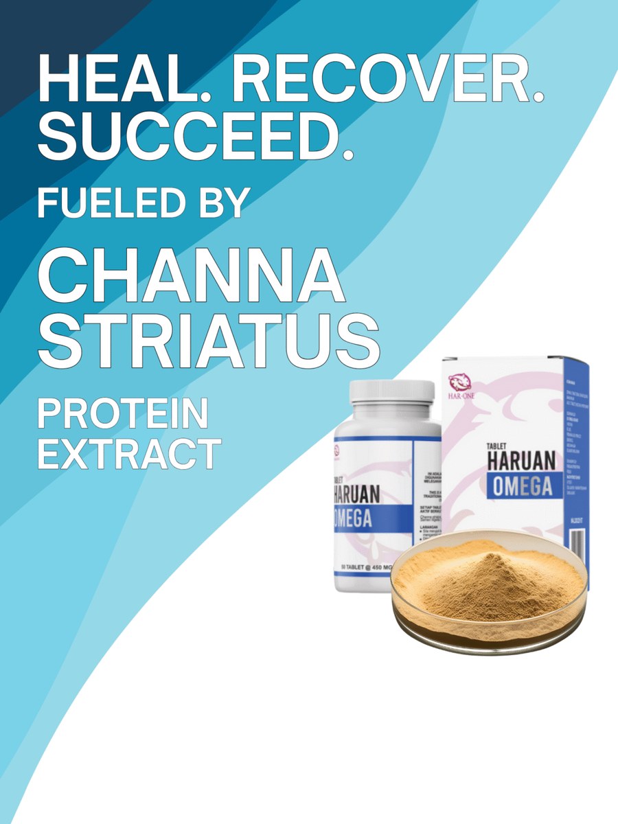 Heal. Recover. Succeed. Fueled by Channa Striatus protein extract &mdash; Tablet Haruan Omega bottle, box, and extract powder